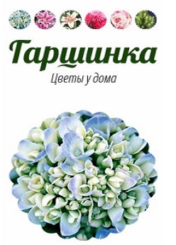 Магазин Цветов Котельники Белая Дача